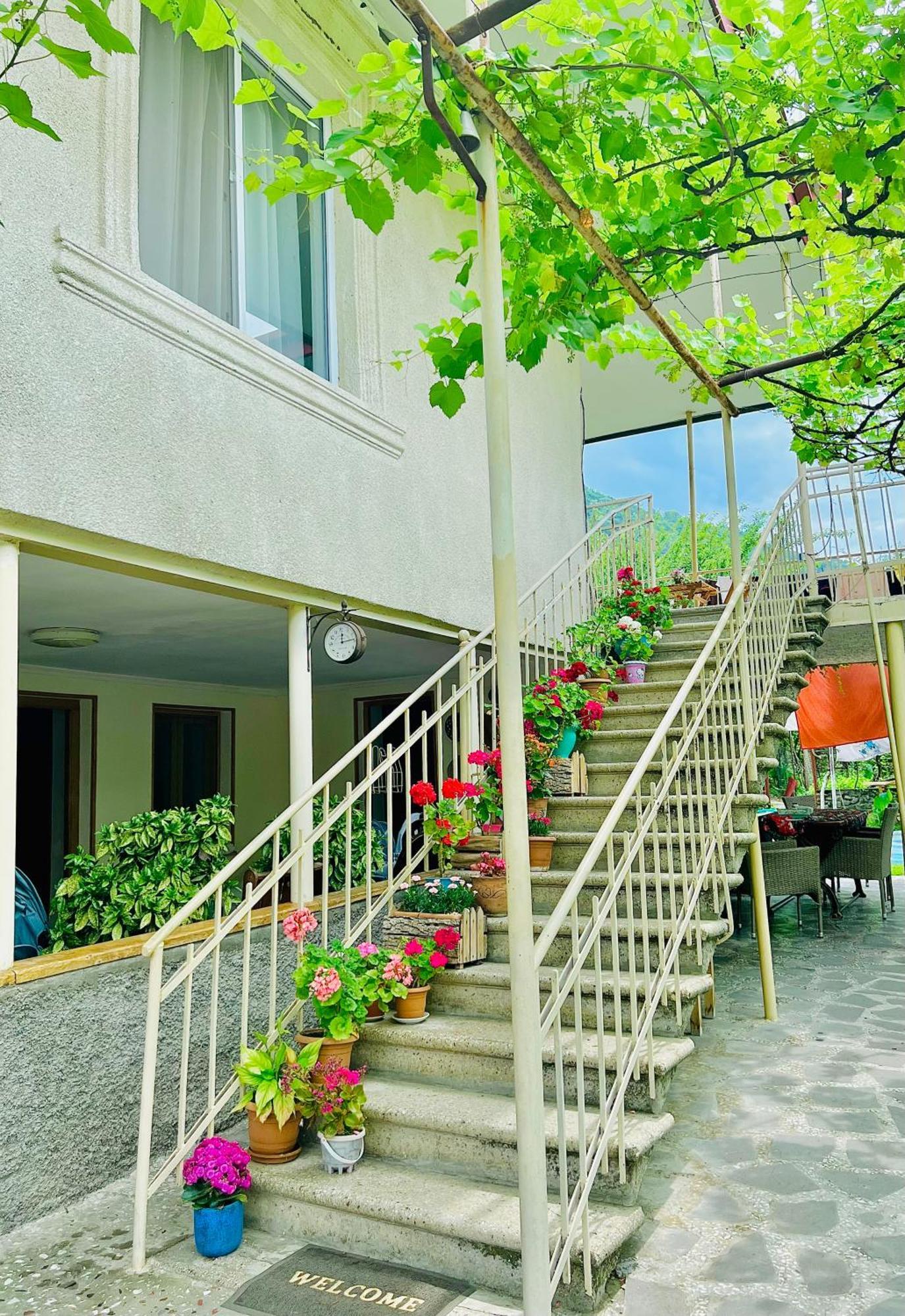 Home Inn-Guesthouse Lagodekhi Kültér fotó