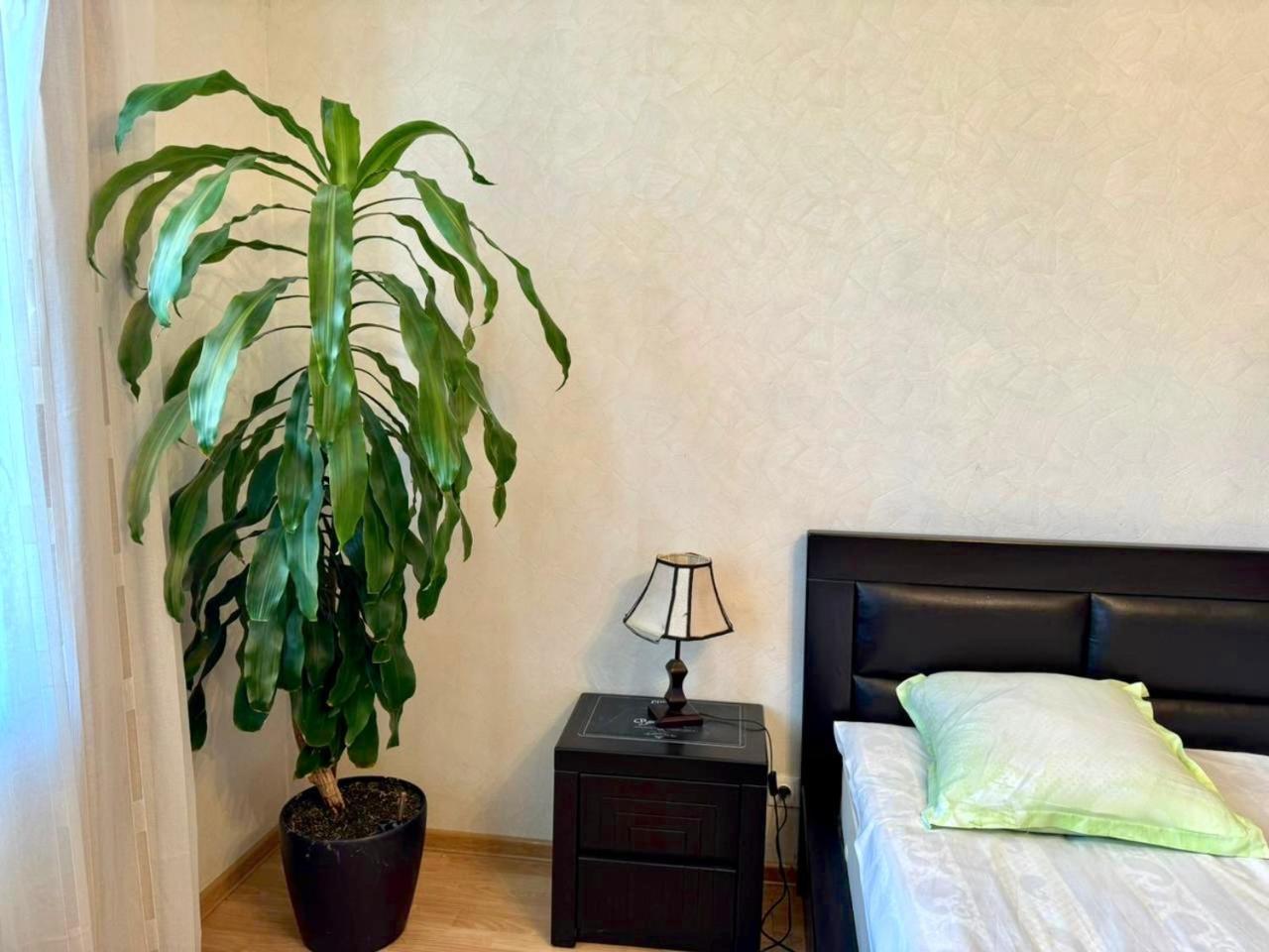 Home Inn-Guesthouse Lagodekhi Kültér fotó