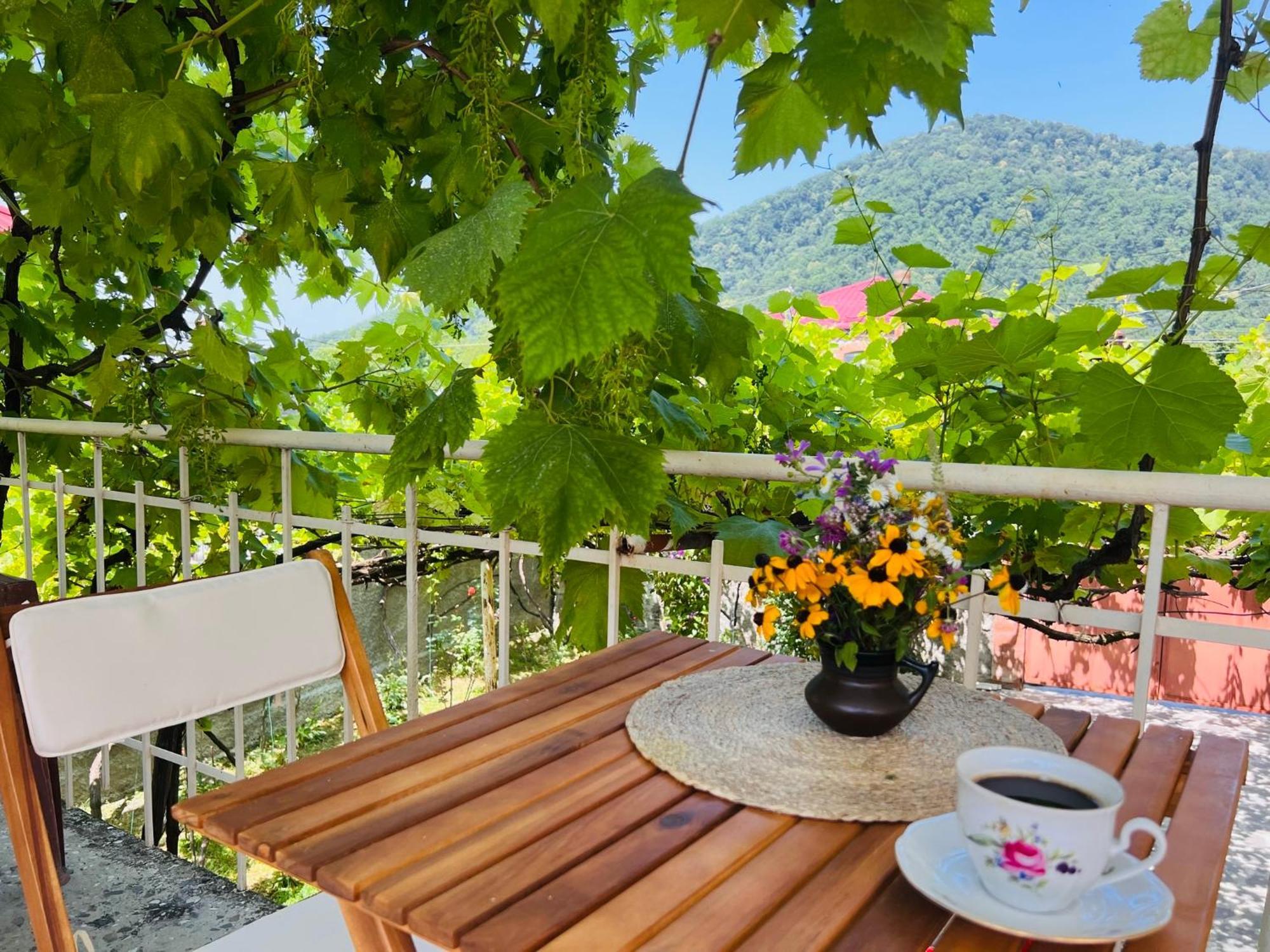 Home Inn-Guesthouse Lagodekhi Kültér fotó