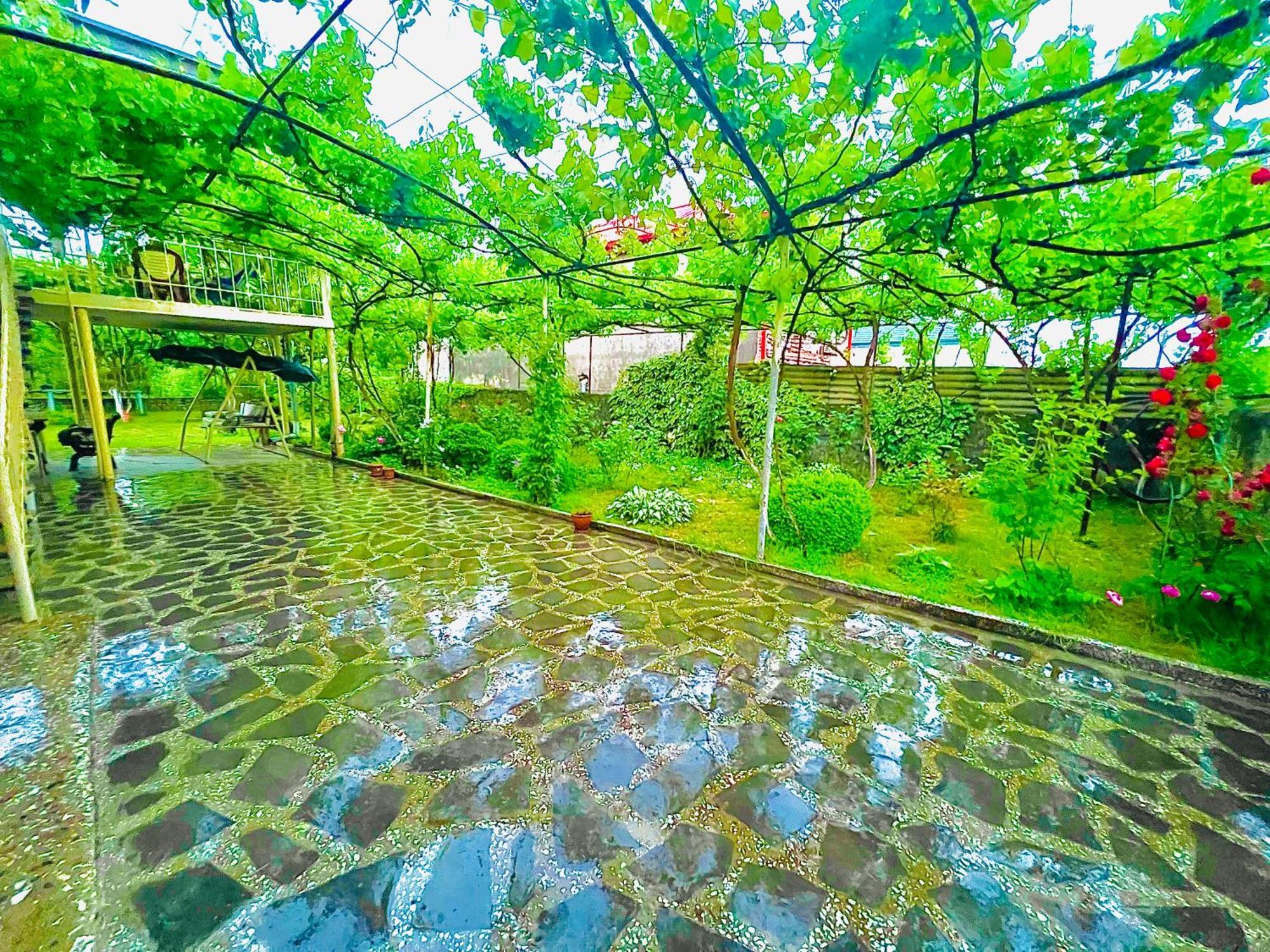 Home Inn-Guesthouse Lagodekhi Kültér fotó
